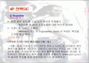 리바이스의 마케팅 42페이지