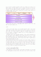 대형할인마트 마케팅 전략 (홈플러스 이마트) 34페이지