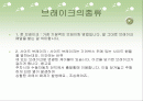 페이드[fade]현상 에대해 2페이지
