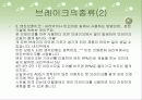 페이드[fade]현상 에대해 3페이지