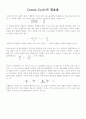 카르노싸이클(Carnot Cycle) 2페이지