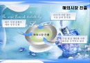 롤리타렘피카 성공사례 9페이지