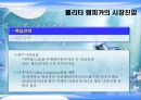 롤리타렘피카 성공사례 13페이지