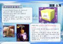 롤리타렘피카 성공사례 17페이지