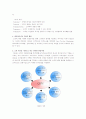 CRM과 e-CRM 3페이지