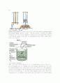 수분퍼텐셜(water potential) 4페이지
