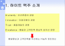 하이트의 기업경영(마케팅, 조직구조) 2페이지