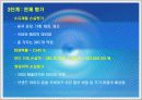 레인콤의 위험관리 체계 7페이지