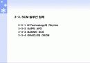 공급사슬관리(SCM)의 도입절차 18페이지