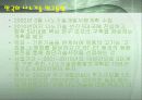 나노기술의 현황과 전망 15페이지