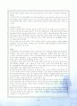 이라크 파병 찬반론과 평가 및 의의 29페이지