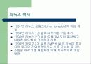 운영체제 종류와 특성 22페이지