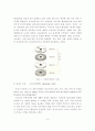 도시공간구조 형성요인과 이론 10페이지