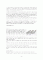 피라미드의 기원과 유형 4페이지
