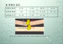 목공사에 대한 정리 8페이지