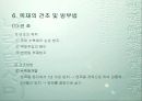 목공사에 대한 정리 10페이지