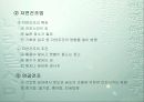 목공사에 대한 정리 11페이지