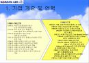 대한항공의 경영전략(조직구조의 변화를 통해) 4페이지