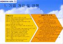 대한항공의 경영전략(조직구조의 변화를 통해) 5페이지