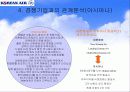 대한항공의 경영전략(조직구조의 변화를 통해) 18페이지