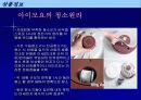 로봇청소기의 상품기획서 6페이지