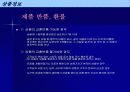 로봇청소기의 상품기획서 11페이지
