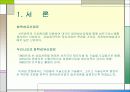 화학섬유산업의 기술혁신 3페이지