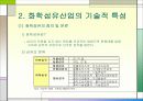 화학섬유산업의 기술혁신 4페이지
