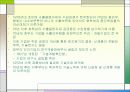 화학섬유산업의 기술혁신 17페이지