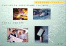 학습자의 지적특성과 발달 16페이지
