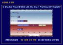 교양과목에 대한 설문조사 13페이지