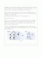 Neo Manhattan Bump Interconnection 6페이지