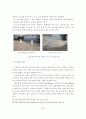 고령자와 장애인의 교통안전대책 문제점과 개선대책 25페이지