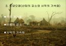 지구환경의 위기(파워포인트 자료) - 대기오염, 수질오염, 토양오염, 식품오염 31페이지