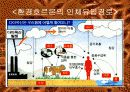 지구환경의 위기(파워포인트 자료) - 대기오염, 수질오염, 토양오염, 식품오염 38페이지