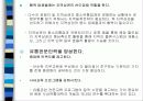 국내 할인점의 전망과 유통현황 21페이지