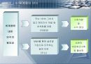 기업의 구조조정 성공사례 분석 30페이지