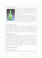 실크로드(Silk Road)와 동서문화교류 19페이지