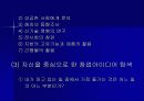 창업아이디어 14페이지