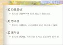 토지시장의 문제점 8페이지