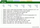 경영전략론 핵심역량사례 5페이지