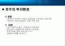 삼성물산의 호주탄광개발-절충이론 4페이지