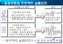 삼성물산의 호주탄광개발-절충이론 13페이지