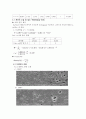 세라믹 소결과 미세조직 관찰 6페이지