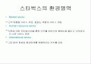 조직론- 스타벅스 환경영역과 조직구조 5페이지