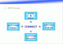 마케팅 전략분석-OB맥주 30페이지