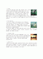 관광지 개발- 코스타리카 지역 10페이지