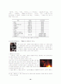 국제커뮤니케이션과 문화제국주의 22페이지