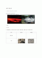 초등지구과학(화산과 관련된 암석 알아보기) 지도안 작성 8페이지