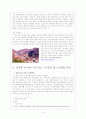 폐광지역의 환경문제와 지역개발문제 6페이지